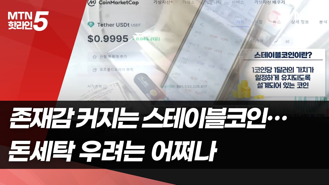 존재감 커지는 스테이블코인…돈세탁 우려는 어쩌나 / 머니투데이방송 (뉴스)