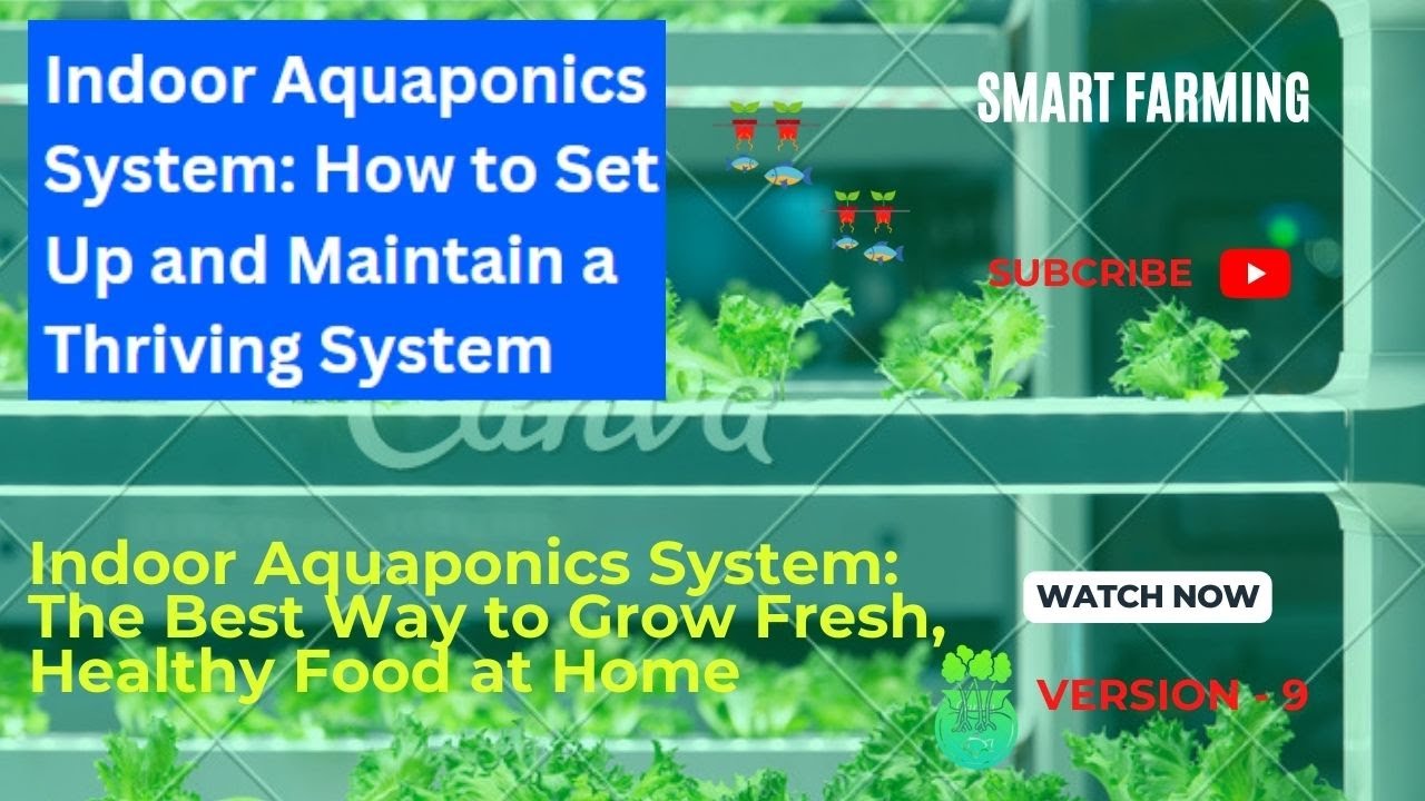 Indoor Aquaponics System Learn How to Grow Your Own Food and Fish in ...