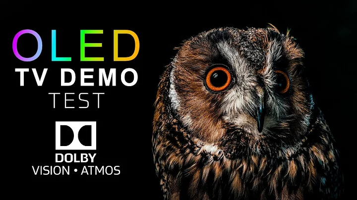 Ultimate 8K OLED Test | Pure Real Black Levels in Dolby Vision 60FPS HDR