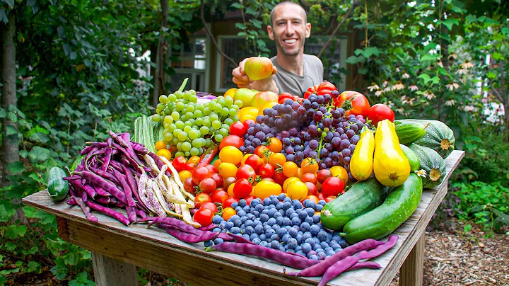 Unbelievable Organic Garden Harvest, This is What I Harvested Today! - DayDayNews