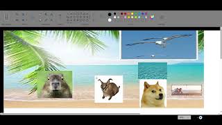 Animals Go To Beach Capybara Doge And Floppa