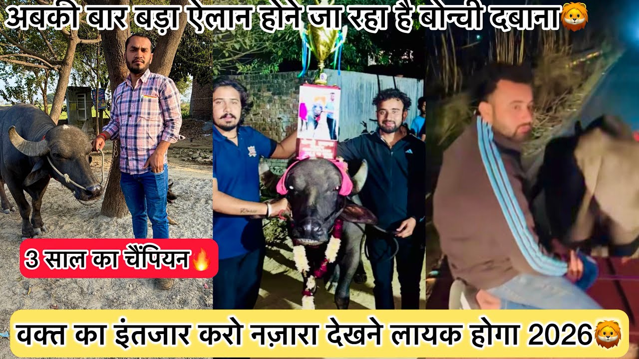 2026 को लेकर बहुत बड़ी तैयारी चल रही है वक्त का इंतजार करो नज़ारा देखने लायक होगा Bonchi Dabana