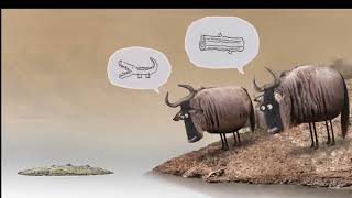 Savanna version - Wildebeest from Birdbox  #funny #animals
