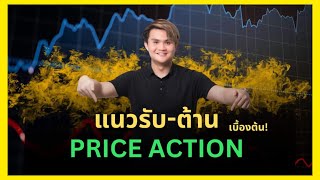 แนวรับต้าน Price Action (เบื้องต้น) l THE WALLSTREET FINANCIAL