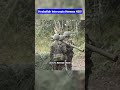 Hezbollah MANPADS Downs Israeli Hermes 450 Drone