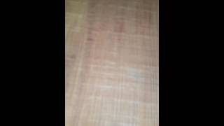 Bubinga ,exotic hardwoods woods