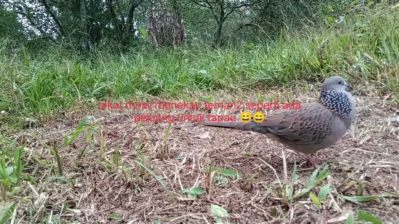 calon naik sl lagi ni teman2 karna bl yg ada isian itu jarang kita jumpai. 👍👍👍