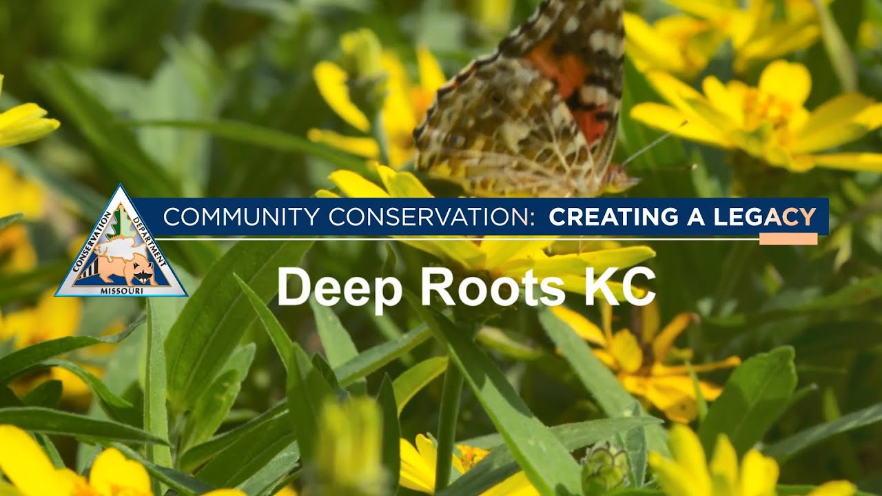 Community Conservation: Deep Roots KC - YouTube
