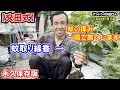 【交田式】蚊に刺された痒みを一瞬で消す方法！ たった30秒でかゆみを忘れられます！ インターネットにも出てこない・・・！ 意外に知られていなかった必殺技！ 永久保存版！これも水月窯の伝統か！