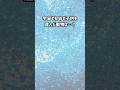 宇宙で初めて子供を産んだ動物は○○○ #shorts #朗読 #宇宙
