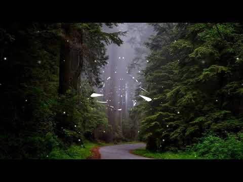 موسيقى Jet Fueled Vixen تشبه كثيرا مقاطع Pink Floyd جميلة وممتعة جدا خالية من حقوق الطبع والنشر