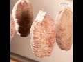 Salame Muletta: tutto sulla Produzione e la Preparazione del Salame Muletta