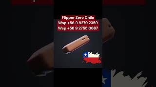 Flipper Zero Chile 56 9 8279 2359 56 9 2755 0687