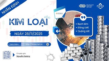 NHẬN ĐỊNH THỊ TRƯỜNG KIM LOẠI NGÀY 28/11/2025