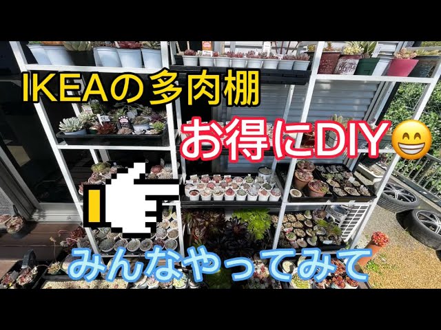 多肉植物】IKEAの多肉棚改造！DIYで置き場所問題解決【DIY】【vol.6