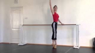 Dalma Video Long