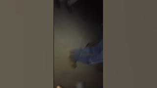 lagu bodo amat versi Irfan lontong