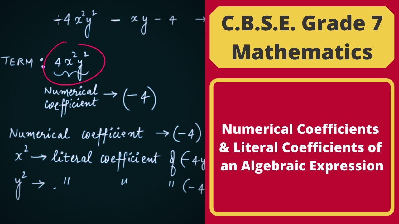 numerical-coefficients-literal-coefficients-of-an-algebraic