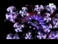 ハツコイ娼女 - PV
