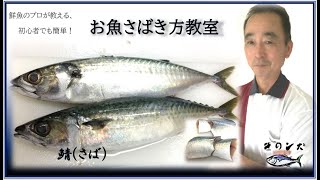 鯖 サバ のさばき方 初心者用 3枚おろし 切り身 味噌煮用 By鮮魚店 きのした生魚店 広島県東広島市西条 21 How To Fillet Mackerel Youtube 鯖 サバ のさばき方 初心者用 3枚おろし 切り身 味噌煮用 By鮮魚店 きのした生魚店 広島県東広島市西条 21 How To Fillet Mackerel Youtube