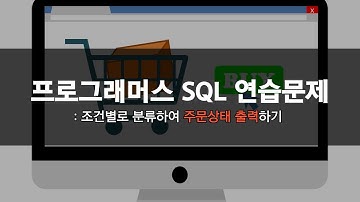 조건별로 분류하여 주문상태 출력하기 | CASE WHEN 함수 활용 | Programmers 프로그래머스 SQL 연습문제