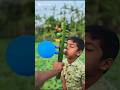 Unique Bus with 5 Balloons | Creative Fun Video
