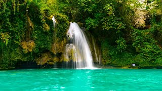 ♻24/7 Heavenly Waterfall Symphony: Ultimate Relaxation Music Forest Sound,birds sound, anxiety