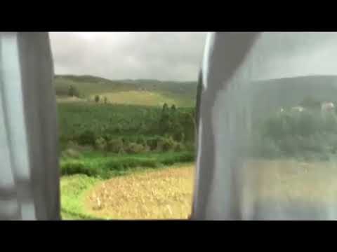 ზღვა შიგნიდან