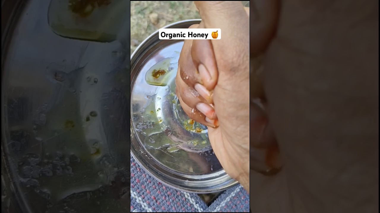 Organic honey 🍯 | 