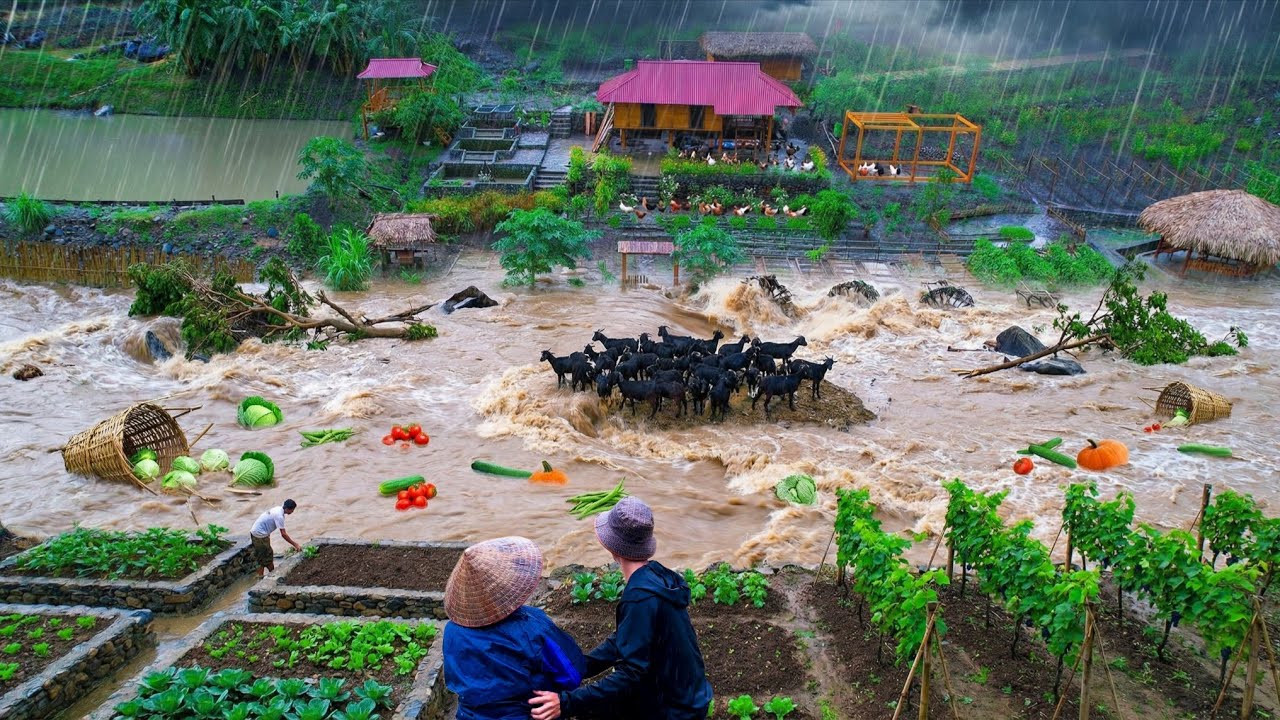 Всё было разрушено 😱Сбор урожая, приготовление пищи, наводнение и восстановление автономной фермы.