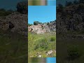 macchia mediterranea#natura #shortvideo  #travel #nature