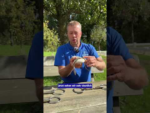 Dynamic RS oder Pronamic? - einfach gebrochene Gebisse Teil 02