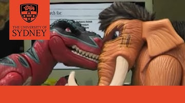 Search Smarter, Search Faster