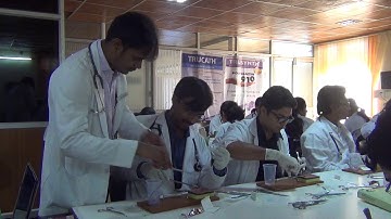 Skills Lab videos (6)