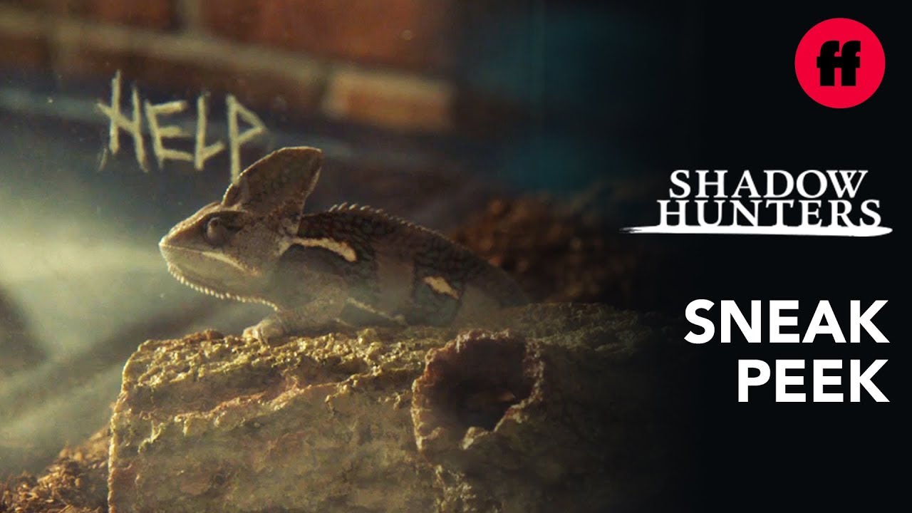 Shadowhunters Series Finale | Sneak Peek: What's Wrong With Magnus ...