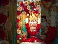 જય શ્રી અવળકંધી માઁ ધામ માલણકા 🚩🌟 #trending #malanka #sundayspecial
