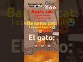 Who lose Minecraft? #minecraft #catmemes #cat #shorts #fyp #bananacat