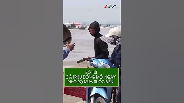 Bỏ túi cả triệu đồng mỗi ngày nhờ rộ mùa ruốc biển #shortshgtv|  NÔNG NGHIỆP SINH THÁI