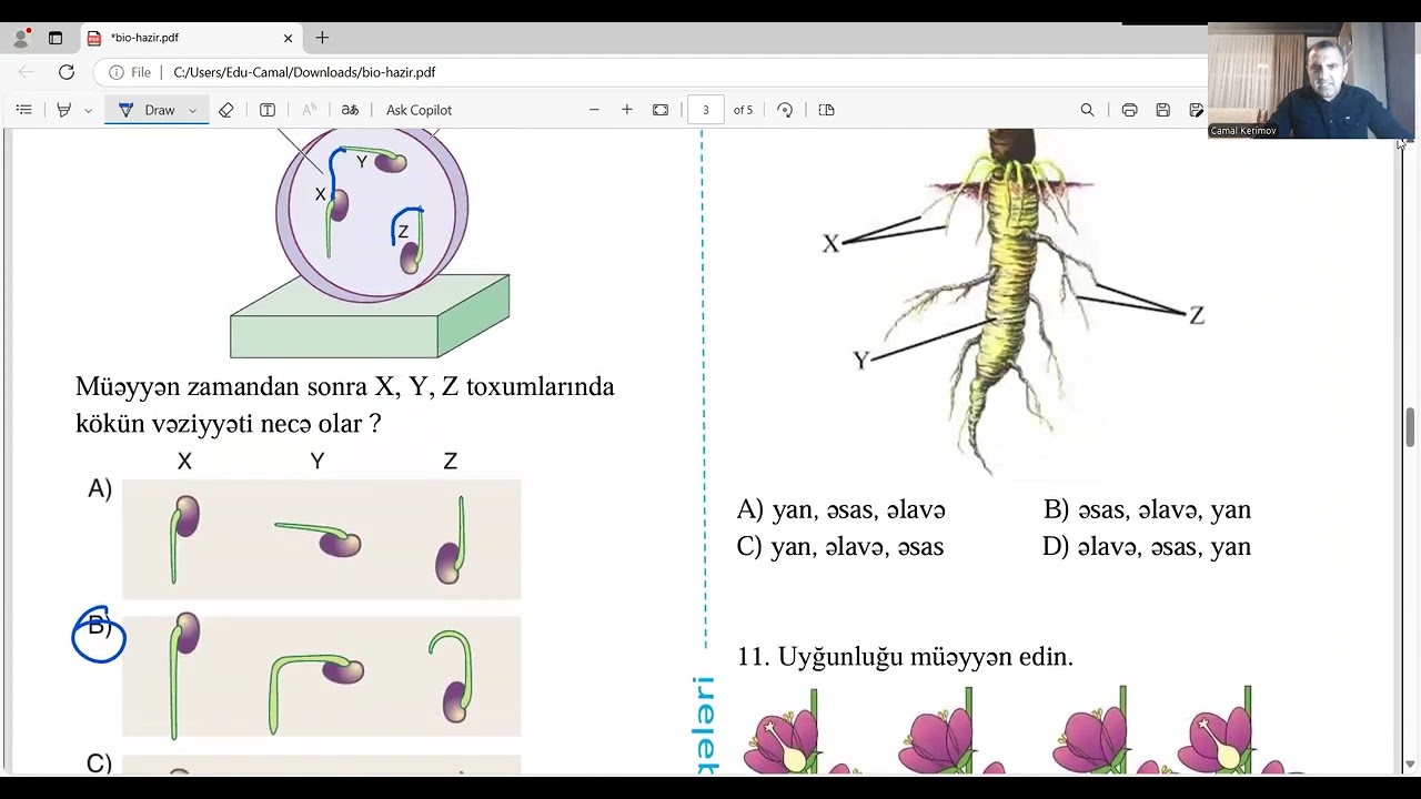 Biologiya RFM sınaq izahı 08.12.2024