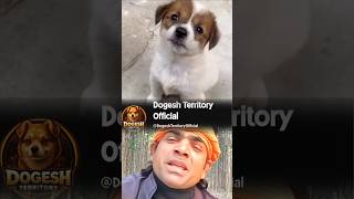 Jay Bhole ki Bol ke | जय भोले की बोल के ,मेरा चैनल देखो खोल #viral #shortfeed #trend #bouncingball