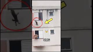 Shocking Photos That Show the Unthinkable!