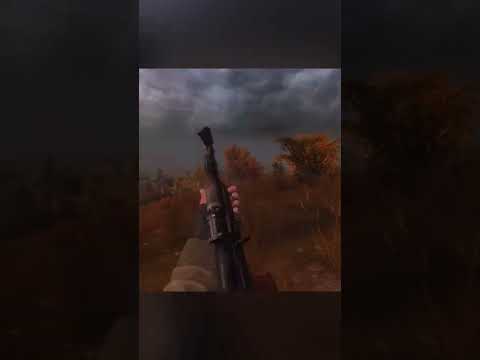 Video: Ist Stalker Call of Pripyat Multiplayer?