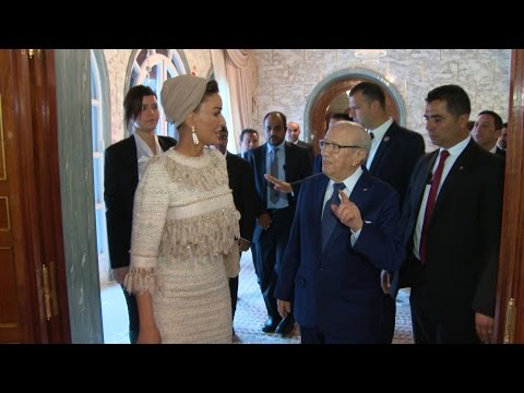 لقاء رئيس الجمهورية مع سمو الشيخة موزا بنت ناصر