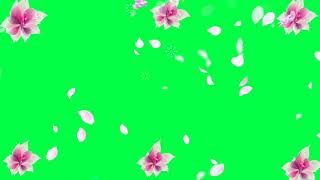 Beautiful Flowers Green Screen Effectchroma Key Effect