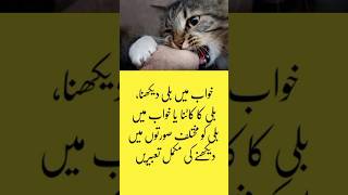 Khwab Mein Billi Dekhna Khwab Mein Billi Ka Katna Khwab Mein Billi K Bachay Dekhna Ki Tabeer