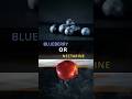 Blueberry Or Nectarine Under The Microscope