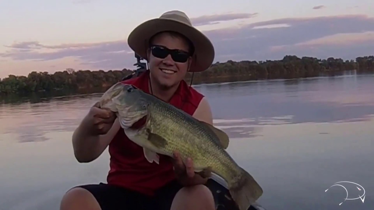 My Second Biggest Bass! All It Takes Is One Cast.