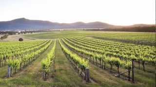 Kate Petering - Mount Langi Ghiran Shiraz