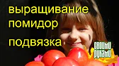 Своими Руками