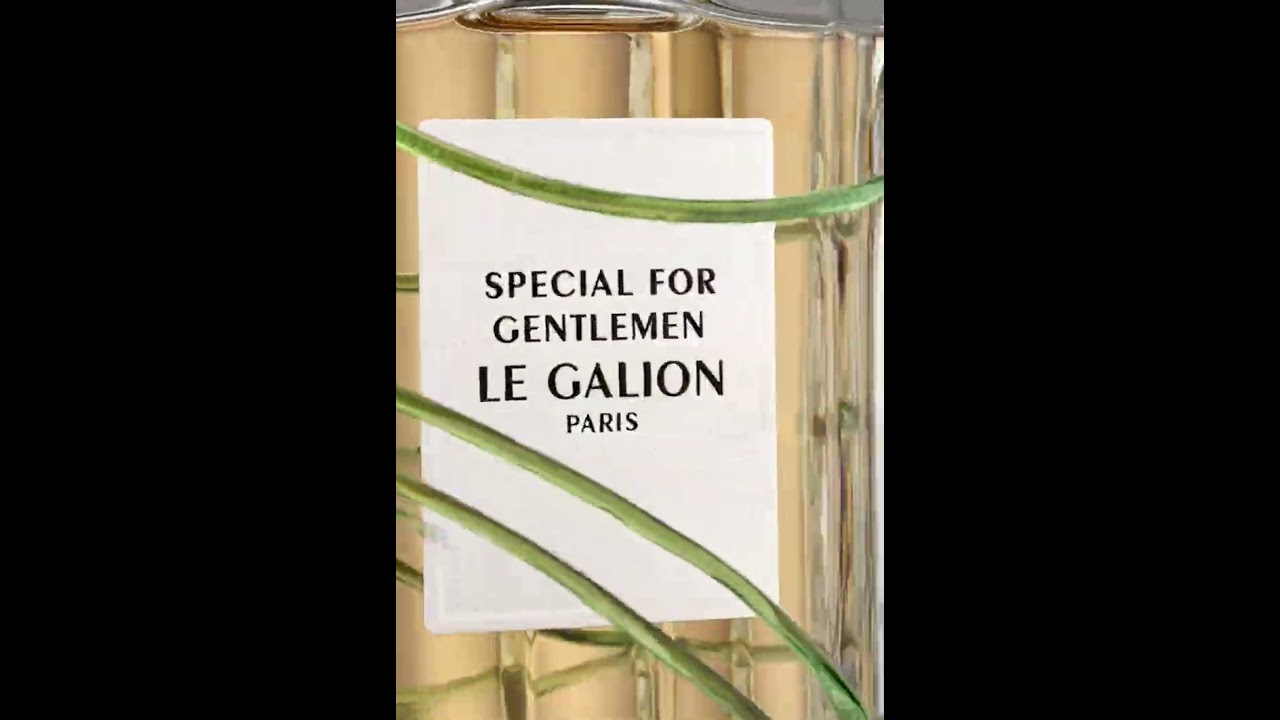 SPECIAL FOR GENTLEMEN LE GALION - YouTube